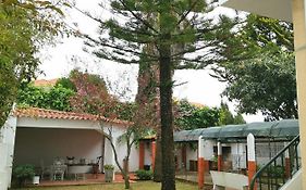 Botanique Guesthouse